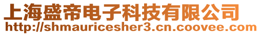 上海盛帝電子科技有限公司