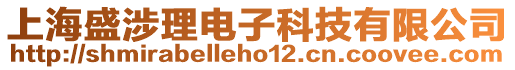 上海盛涉理電子科技有限公司