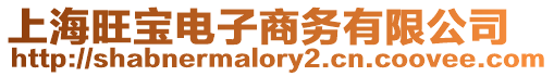 上海旺寶電子商務有限公司