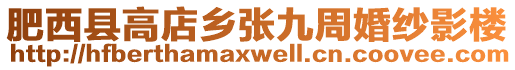 肥西縣高店鄉張九周婚紗影樓