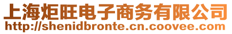 上海炬旺電子商務(wù)有限公司