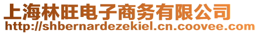 上海林旺電子商務(wù)有限公司