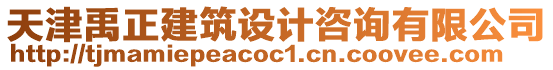天津禹正建筑設計咨詢有限公司