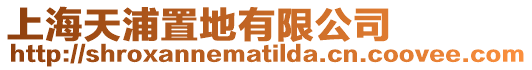 上海天浦置地有限公司