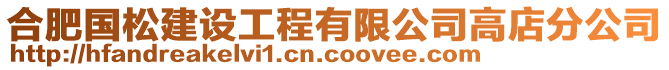 合肥國松建設(shè)工程有限公司高店分公司