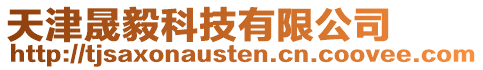 天津晟毅科技有限公司