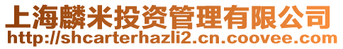 上海麟米投資管理有限公司