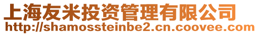 上海友米投資管理有限公司