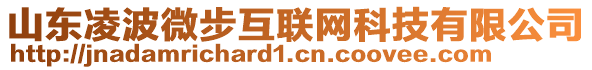 山東凌波微步互聯(lián)網(wǎng)科技有限公司