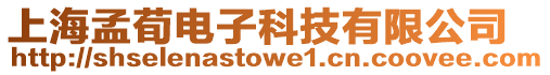 上海孟荀電子科技有限公司