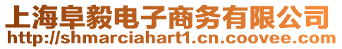 上海阜毅電子商務(wù)有限公司