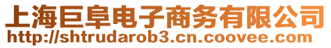 上海巨阜電子商務有限公司