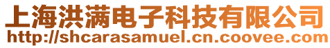 上海洪滿電子科技有限公司