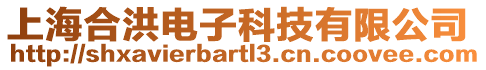 上海合洪電子科技有限公司