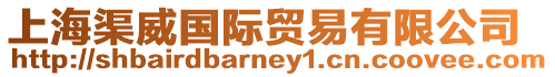 上海渠威國際貿易有限公司