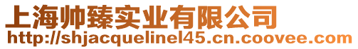 上海帥臻實業有限公司