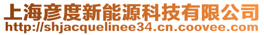 上海彥度新能源科技有限公司