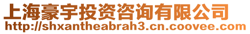 上海豪宇投資咨詢有限公司