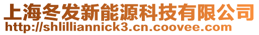 上海冬發新能源科技有限公司