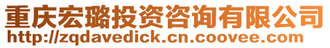 重慶宏璐投資咨詢有限公司