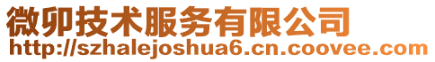 微卯技術(shù)服務(wù)有限公司