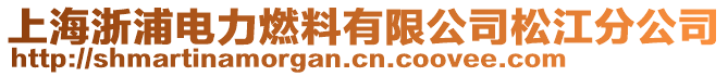 上海浙浦電力燃料有限公司松江分公司
