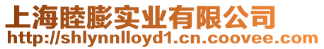 上海睦膨實業有限公司