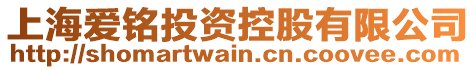 上海愛銘投資控股有限公司
