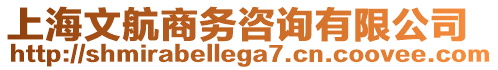 上海文航商務(wù)咨詢有限公司