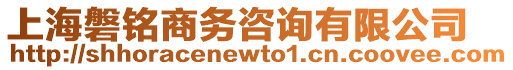 上海磐銘商務咨詢有限公司