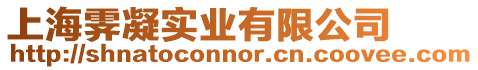 上海霽凝實(shí)業(yè)有限公司
