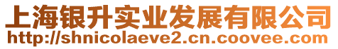 上海銀升實業發展有限公司