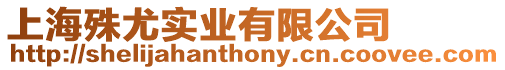 上海殊尤實業有限公司