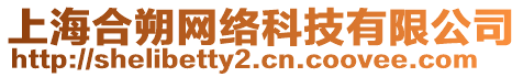上海合朔網絡科技有限公司