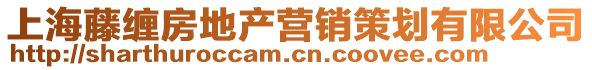 上海藤纏房地產營銷策劃有限公司