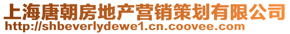 上海唐朝房地產(chǎn)營(yíng)銷策劃有限公司