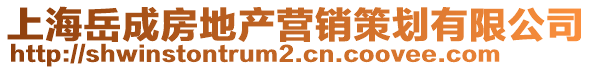 上海岳成房地產營銷策劃有限公司