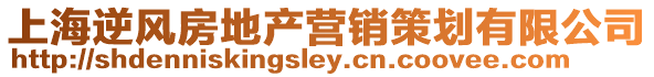 上海逆風房地產營銷策劃有限公司
