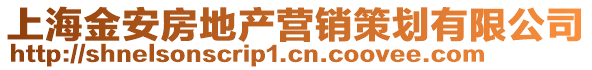 上海金安房地產(chǎn)營銷策劃有限公司