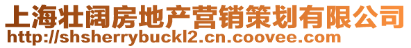 上海壯闊房地產營銷策劃有限公司