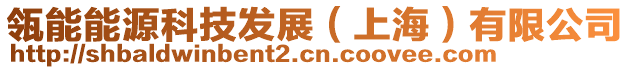 瓴能能源科技發展（上海）有限公司
