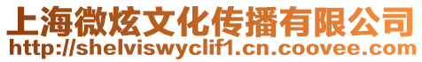 上海微炫文化傳播有限公司