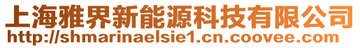 上海雅界新能源科技有限公司
