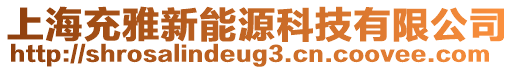 上海充雅新能源科技有限公司