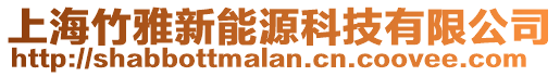上海竹雅新能源科技有限公司
