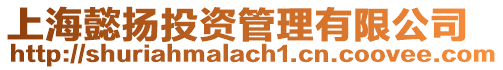 上海懿揚(yáng)投資管理有限公司