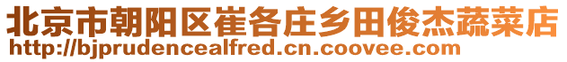 北京市朝陽區崔各莊鄉田俊杰蔬菜店
