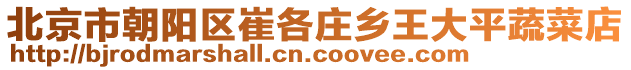北京市朝陽區崔各莊鄉王大平蔬菜店