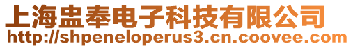 上海盅奉電子科技有限公司