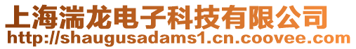 上海湍龍電子科技有限公司